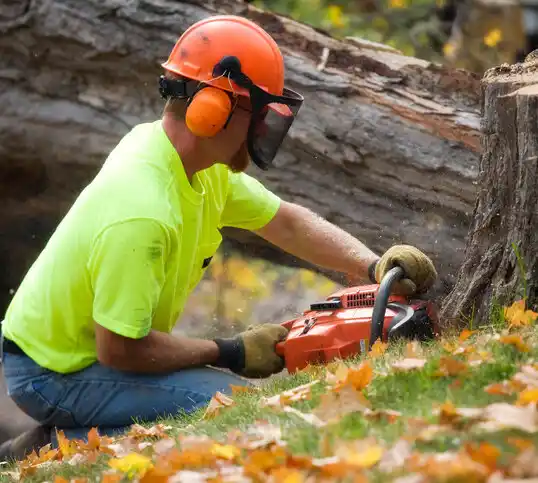 tree services Foxfire